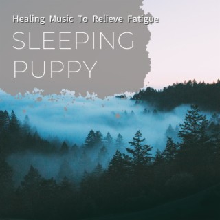Healing Music To Relieve Fatigue