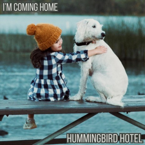 I'm Coming Home | Boomplay Music