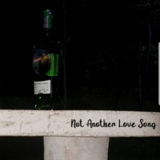 Not Another Love Song