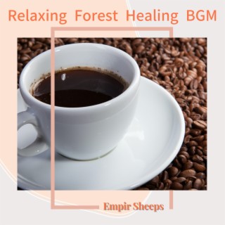 Relaxing Forest Healing BGM