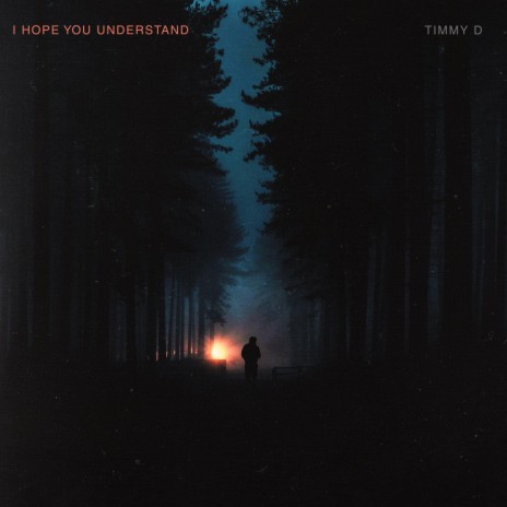 I Hope You Understand | Boomplay Music