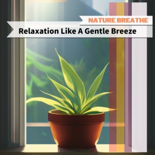 Relaxation Like A Gentle Breeze