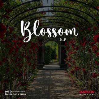Blossom EP