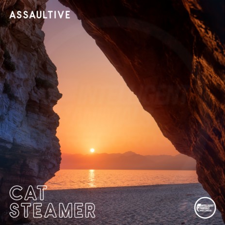Cat Steamer | Boomplay Music