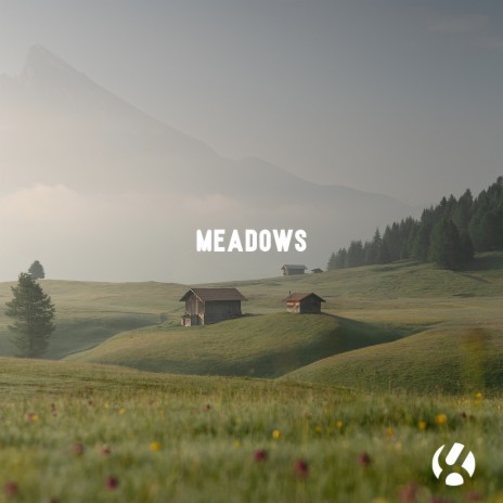 Meadows | Boomplay Music