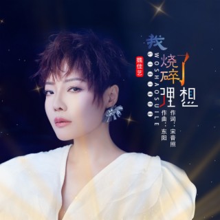 我烧碎了理想 lyrics | Boomplay Music