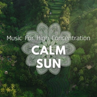 Music For High Concentration