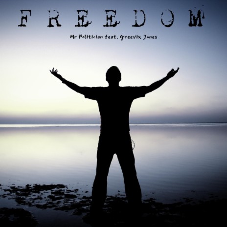 FREEDOM (feat. Mr POLITICIAN) | Boomplay Music