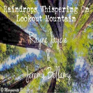 Raindrops Whispering on Lookout Mountain