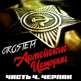 Армейские Истории. часть 4. Черпак