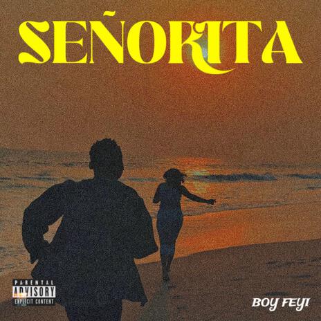 Señorita | Boomplay Music