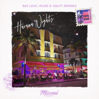 Havana Nights