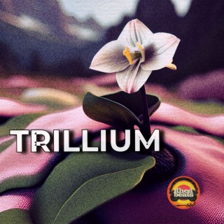 Trillium