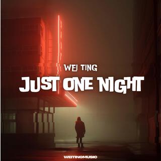 Just One Night