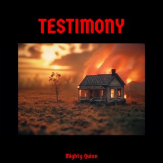 TESTIMONY