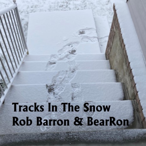 Tracks In The Snow | Boomplay Music