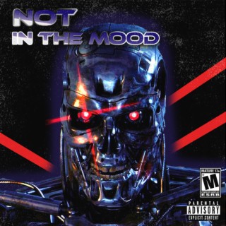 Not in the Mood (Remix) ft. Kasen Shawn lyrics | Boomplay Music