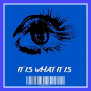 It Is What It Is lyrics | Boomplay Music