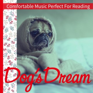 Comfortable Music Perfect For Reading