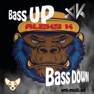 Bass Up Bass Down