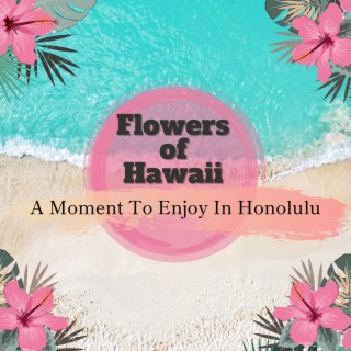 A Moment To Enjoy In Honolulu