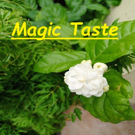 Magic Taste