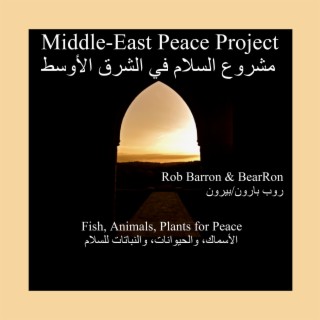 Middle-East Peace Project