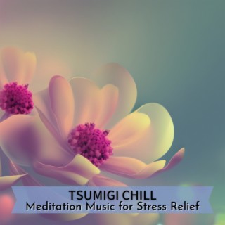 Meditation Music for Stress Relief