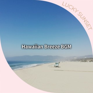 Hawaiian Breeze BGM