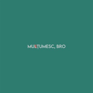 Multumesc, Bro lyrics | Boomplay Music