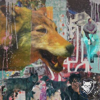 DOG & WOLF! lyrics | Boomplay Music