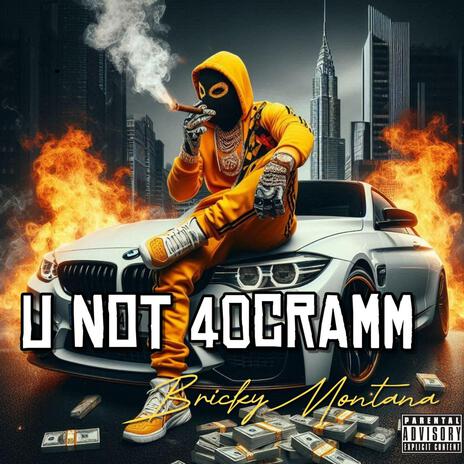 U NOT 40 CRAMM | Boomplay Music