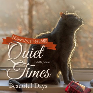 Quiet Times:夜のゆったり自分時間 - Beautiful Days