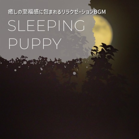 Deep, Deep Sleep | Boomplay Music