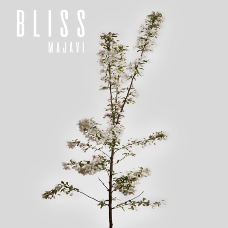 Bliss | Boomplay Music