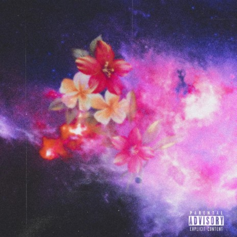 Flower Bomb ft. Natvral | Boomplay Music
