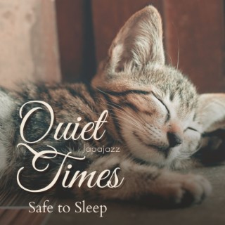 Quiet Times - Safe to Sleep