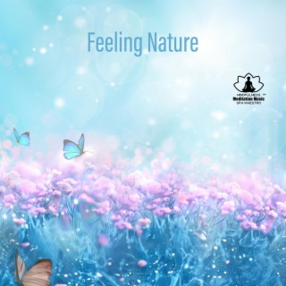 Feeling Nature: Ultra Relaxing Music for Spa, Meditation, Massage or Sleep