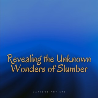Revealing the Unknown Wonders of Slumber