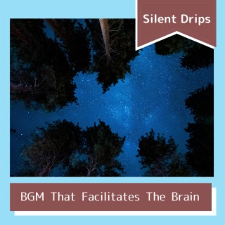 BGM That Facilitates The Brain