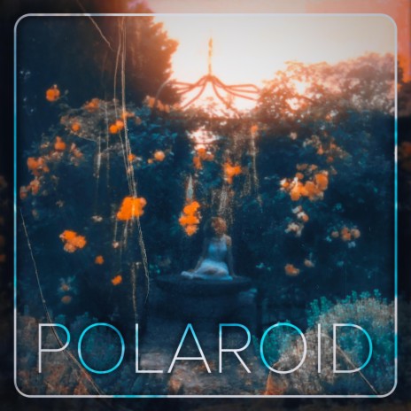 Polaroid | Boomplay Music