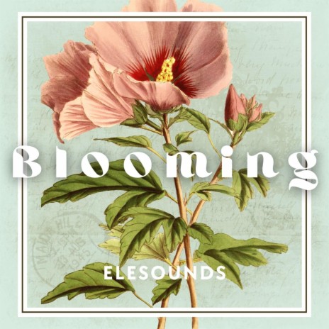 Blooming | Boomplay Music