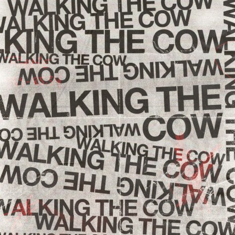 Walking the Cow ft. The Moth and The Flame & Pinguin Mofex | Boomplay Music