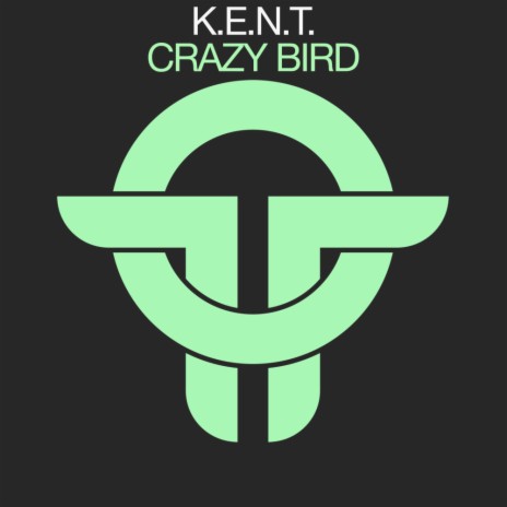 Crazy Bird | Boomplay Music