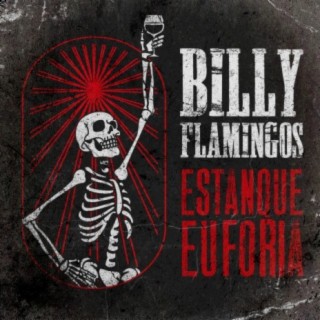 Billy Flamingos