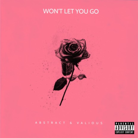 Won't Let You Go ft. Vxlious | Boomplay Music