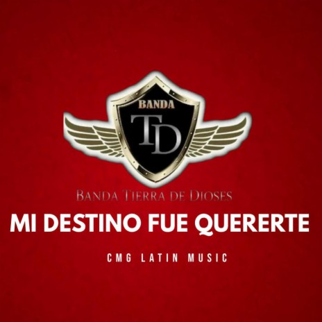 Mi destino fue quererte | Boomplay Music