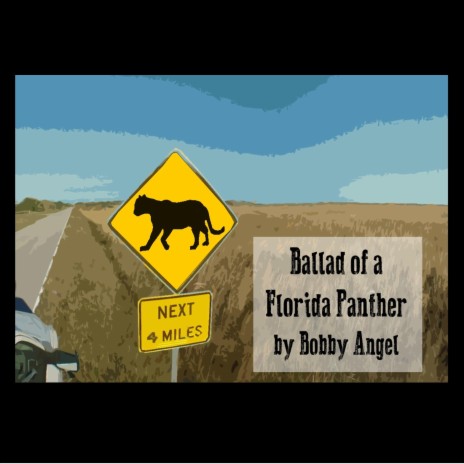 Ballad of a Florida Panther | Boomplay Music