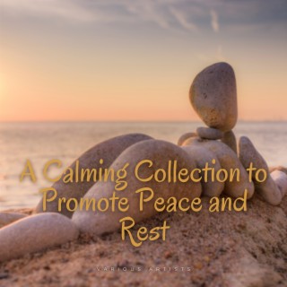 A Calming Collection to Promote Peace and Rest