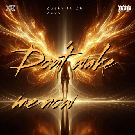 Plz dont wake me now ft. Zuski | Boomplay Music